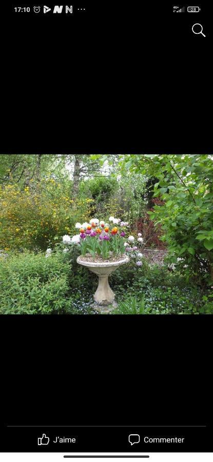 Petit Coin De Paradis Fontaine-les-Luxeuil Esterno foto